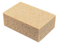 Raimondi Avana Hand Sponge