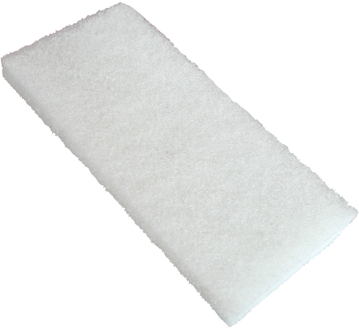 Raimondi Scouring Pad Fine