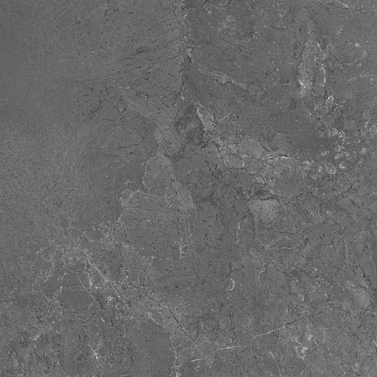 Time Stone Charcoal Porcelain Tile