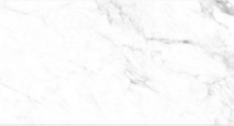 Caliza Porcelain Tile