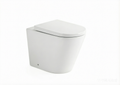 Caleb Aria Wall Faced Toilet