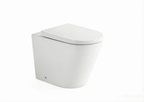 Caleb Aria Wall Faced Toilet