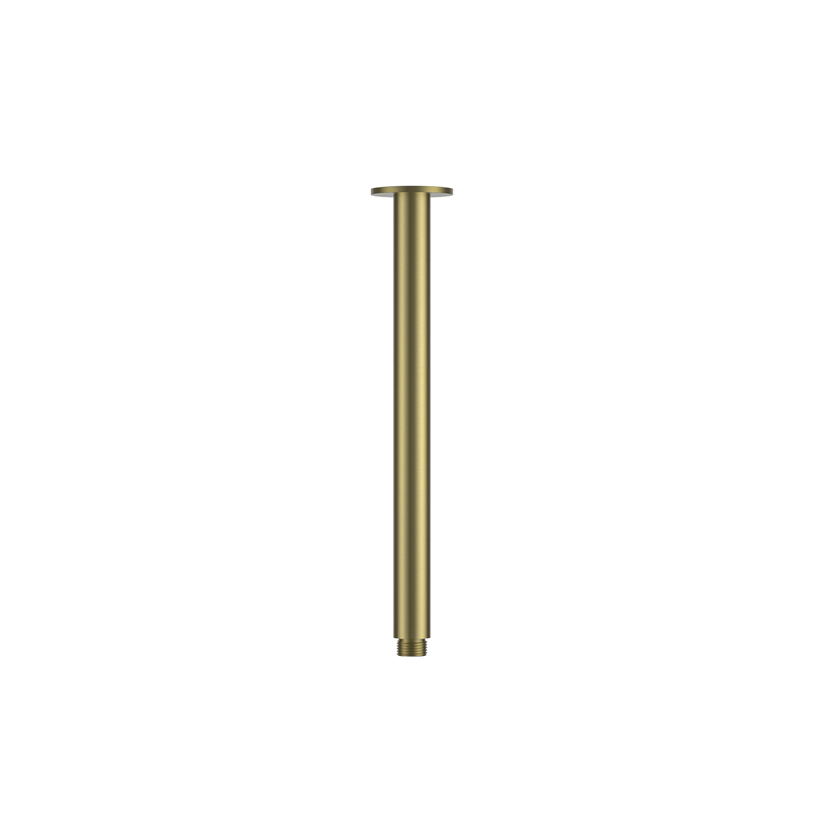 MELA PALCO / RONDO Ceiling Shower Arm in Brushed Brass